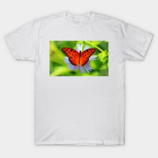 Passion Butterfly T-Shirt